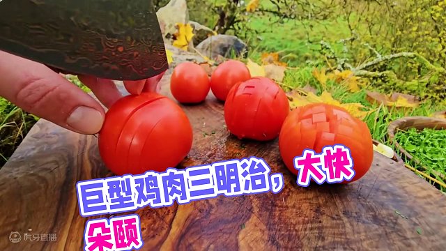 巨型鸡肉三明治，估计几个人才能吃完呢？