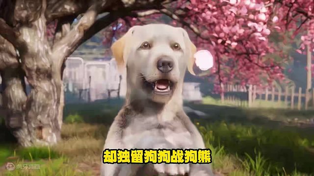 盘点独属于明日玩家与狗狗的记忆！ #明日之后 #狗 #一条狗的使命