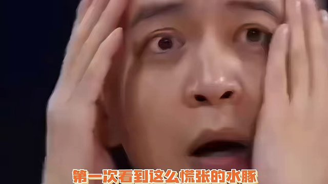 原来水豚也会被吓到啊，还以为它一直会很淡定