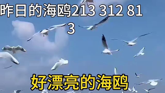 我已发布新作品了，快来围观吧