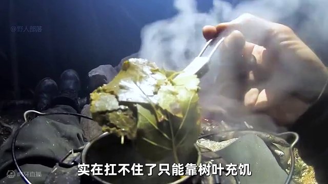 8人北极荒野求生，大佬连续捕获三条野鳟鱼，菜鸟只能吃树叶生存 #荒野求生 #野外生存 #户外