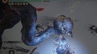 【沐】花里胡哨篇46-翼閃流番外篇117 最終死鳥（中程環(huán)境：極差）