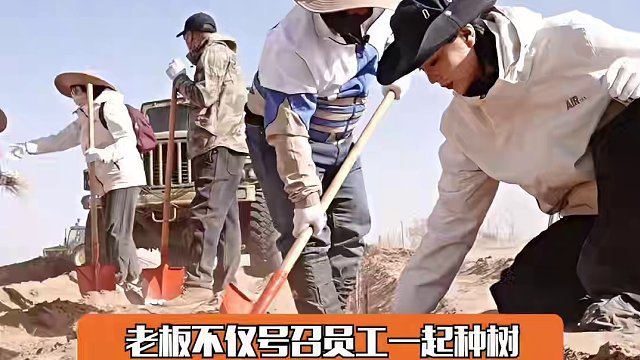 #迪丽热巴是掌管花和树的神 美丽代言人VS直男老板，老板：花和树我都要！#迪丽热巴