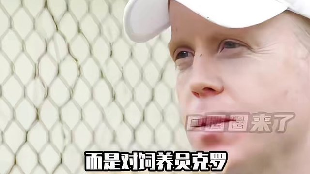 这古怪又浪漫的“爱情故事”