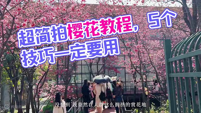 【超绝拍樱花教程】5个超简单拍摄技巧，拍春天电影感vlog！ 出游旅行或是踏青赏花到处都是人，还怎么
