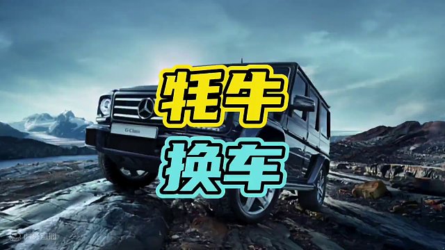 为什么藏族小伙都喜欢用牦牛换车？#牦牛 #汽车 #西藏