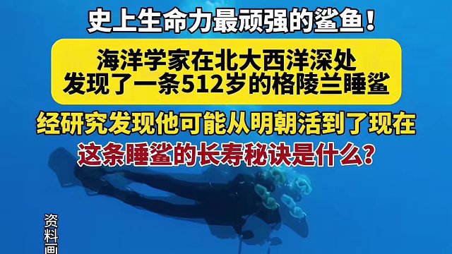史上生命力最顽强的鲨鱼！海洋学家在大西洋深处发现一条512岁的格陵兰睡鲨！