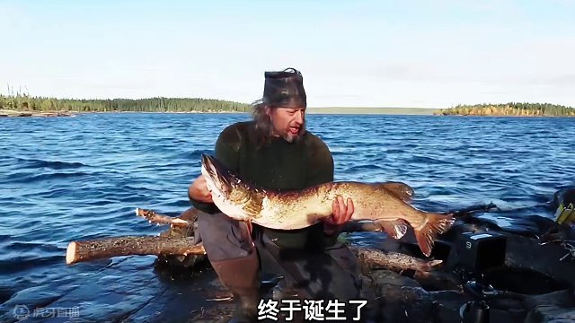 荒野独居第十季天选之子诞生，捕获30斤巨物，50万美金唾手可得！ #野外生存 #纪录片充电计划  #荒野独居