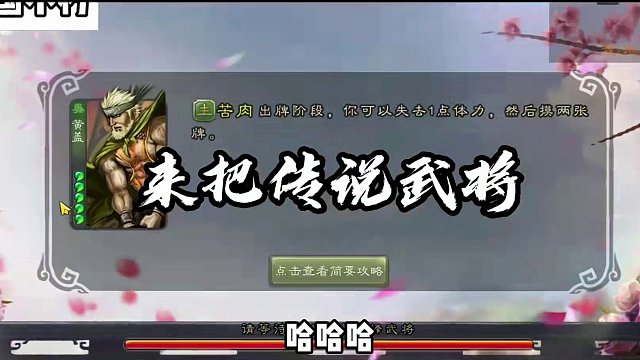 神将乱杀#三国杀