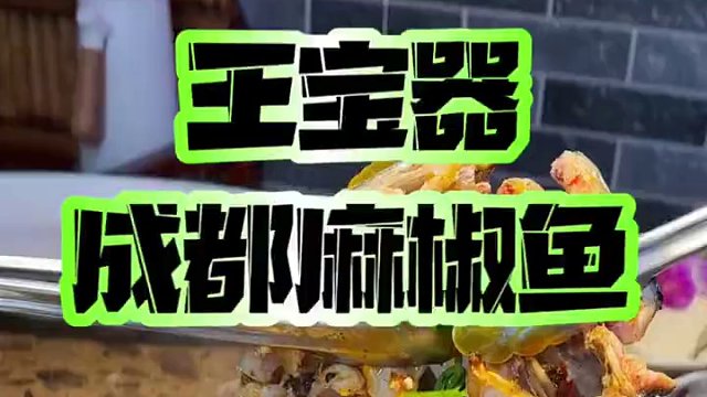 巨巨巨好吃的成都麻椒鱼，筷子都不想放下来！49.9代100，赶紧去吃！##谁懂这一口的好吃程度 #春