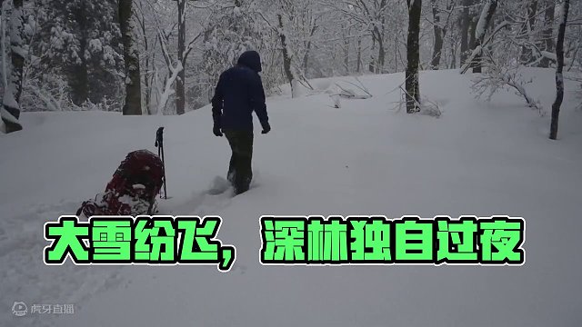 大雪纷飞的天气，独自一人在深林过夜 #野外建造 #野外生存 #原始技术