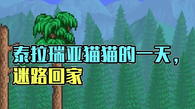 感同身受了属于是 #泰拉瑞亚 #泰拉瑞亚手游