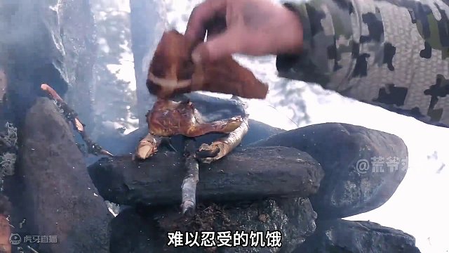 荒野独居第十季大结局终于来了，大佬荒岛挨饿66天，赢走50万美金 #野外生存  #荒野独居  #纪录片充电计划