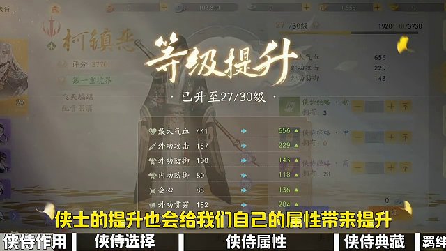 不知道侠侍？看完这个视频让你一目了然！#射雕公测 、#网易射雕 、#射雕金乌令 #侠侍