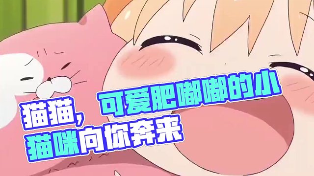 猫猫，快到姨姨怀里来！！！