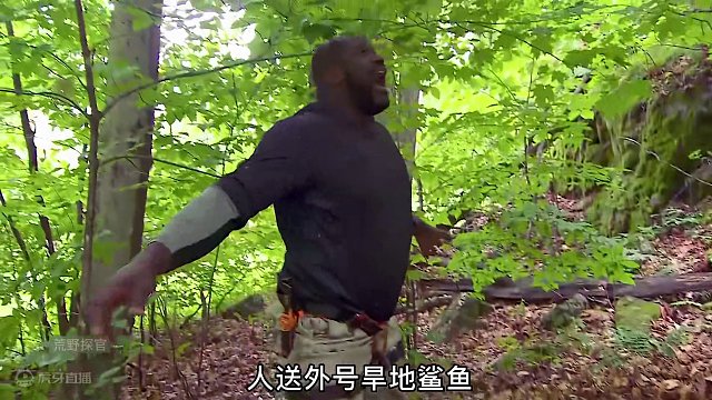 荒野求生 荒野扛把子果真不是浪得虚名，带着300多斤奥胖打野，烹饪香喷喷的石板烤胎盘，睡在落叶席梦思