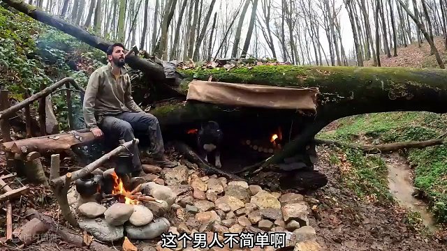 #荒野 #木屋搭建 这才是真正的视频减速带！！！#沉浸式露营 #荒野求生 #解压