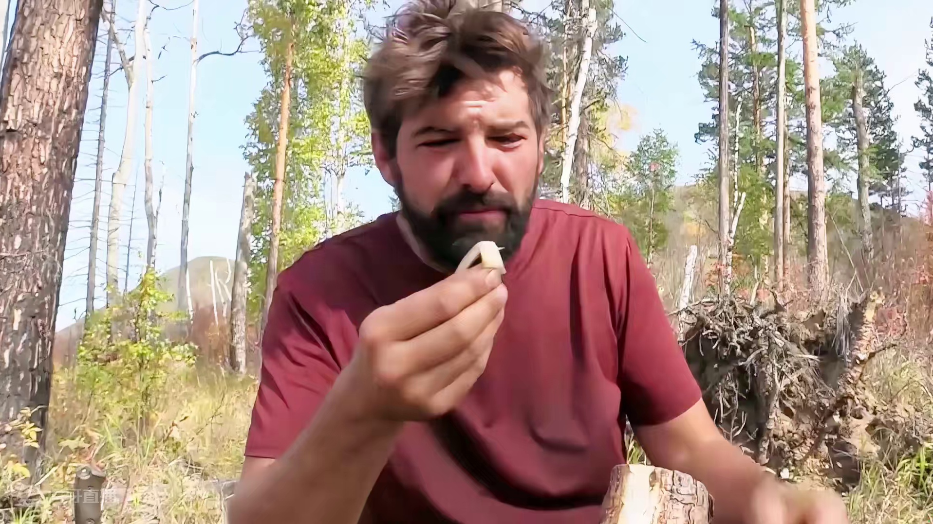 10人蒙古荒野求生，大佬与老鼠不共戴天，菜鸟连饿20天惨痛退赛 #野外生存 #荒野独居 #纪录片充电计划