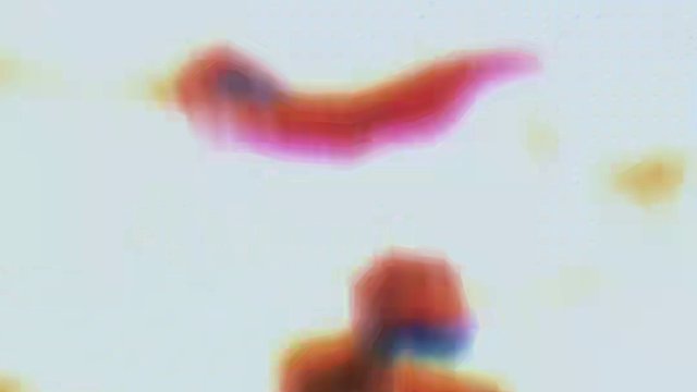 妖刀姬：歪瓜 #永劫无间