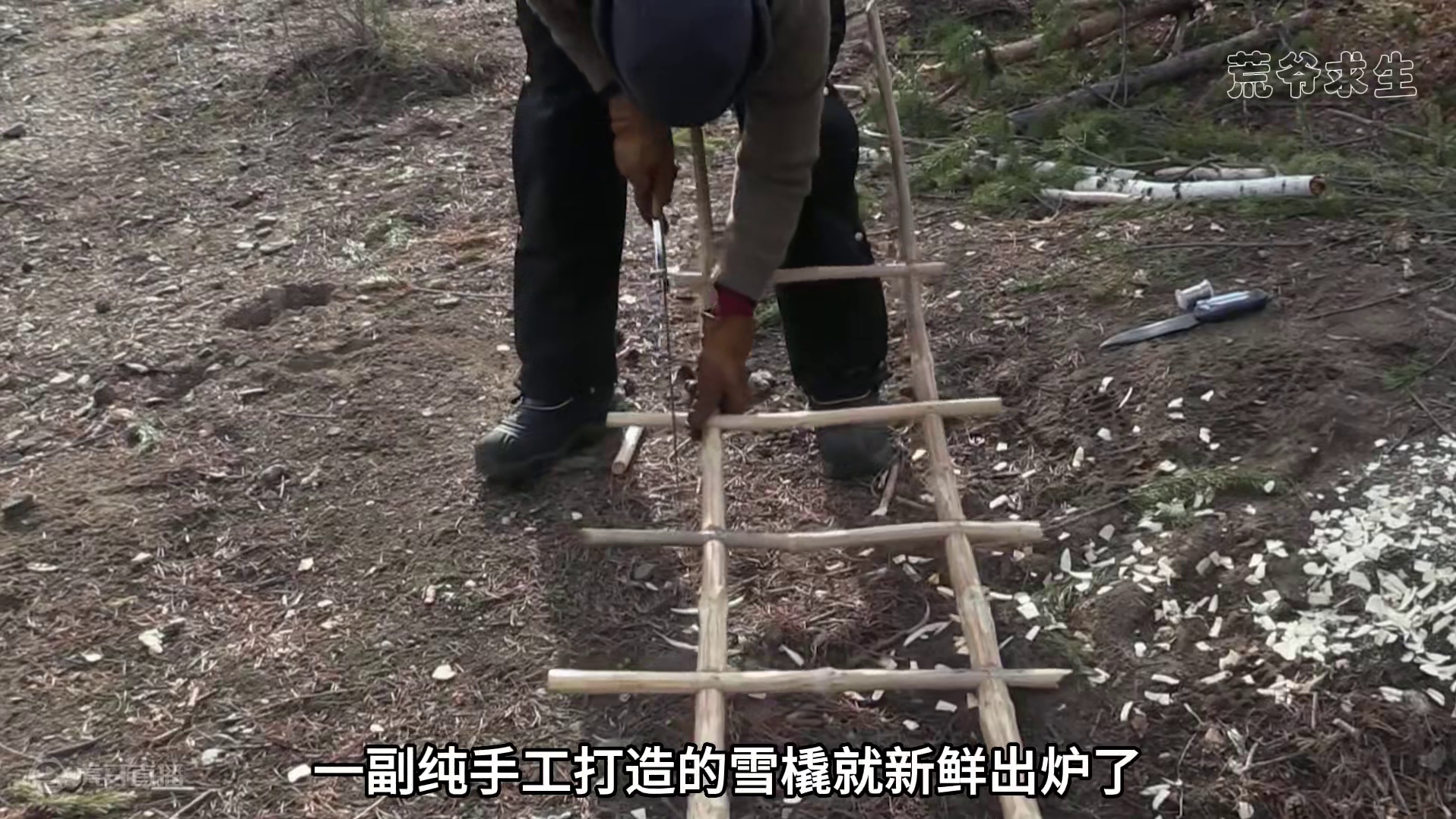 10人蒙古荒野求生，老鼠成唯一食物，挨饿大赛进入白热化，纪录片 #野外生存 #荒野独居 #纪录片充电计划
