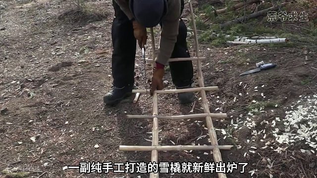 10人蒙古荒野求生，夺冠热门遗憾退赛，最后三人争夺百万大奖！ #野外生存  #荒野独居   #纪录片充电计划