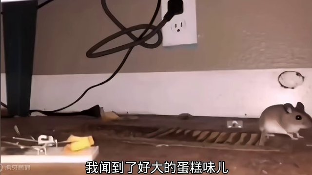 搞笑配音：这学习效率无敌了 一个比一个搞笑
