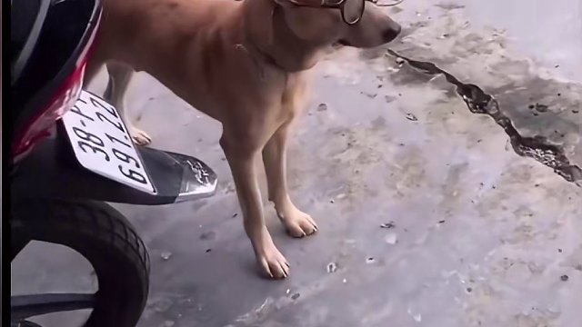 搞笑配音：这年头没两下子不敢出来当老师