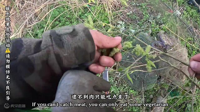 老六荒野《樟树营杯十万大奖赛》 荒岛求生，选手比赛第二天晚上，迎来狂风暴雨，打雷，闪电，他们将如何面