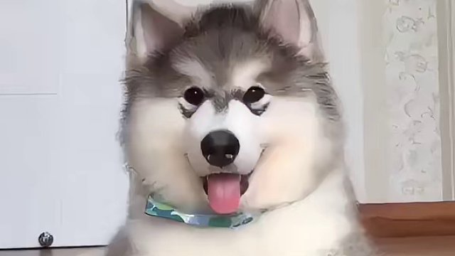 三分狗样尚未学会，七分人样栩栩如生