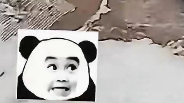 我发布了一个新视频，快来围观吧！