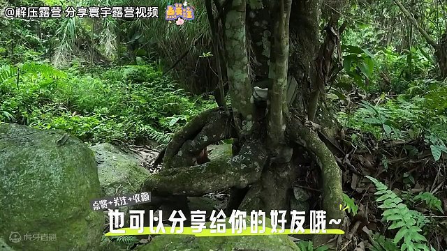 我发布了一个新视频，快来围观吧！