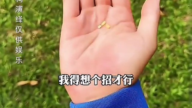 哥哥偷吃弟弟的美食，结局全都是套路啊！#看一遍笑一遍 #意想不到的结局 #这操作都看傻了 #万万没想