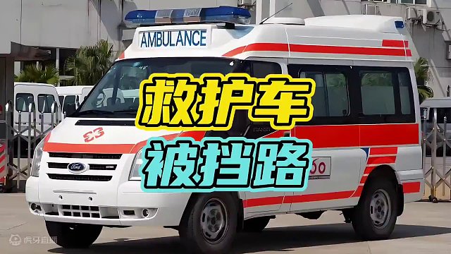 父亲为救儿子，一口气砸了躺在小区门口三十多辆车！#汽车 #停车 #救护车￼