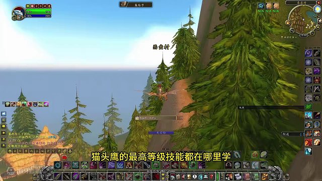 P3猎人宝宝猫科风蛇猫头鹰最高级技能在哪学 保姆级教学来了 #魔兽世界 #魔兽世界怀旧服 #我比你们