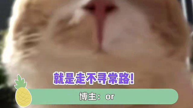 被笑死了。。#解压小游戏 #万万没想到 #娱乐评论大赏