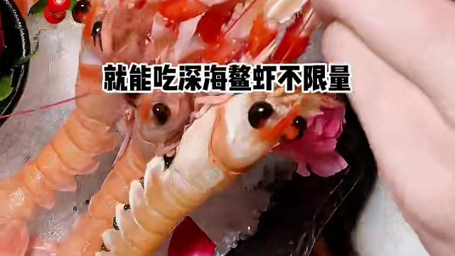 300不到就可以吃到深海鳌虾不限量 还有另外300多种菜品 你想好带谁一起去吃了吗