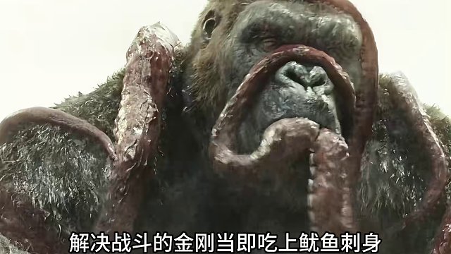 我发布了一个新视频，快来围观吧！