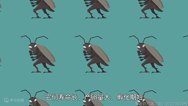 家里有“杀不死的小强”，可能因为灭蟑药没选对。