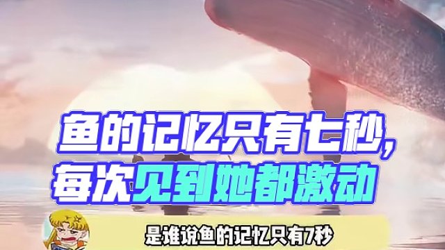 鱼的记忆只有七秒，但是它每次都会对她心动