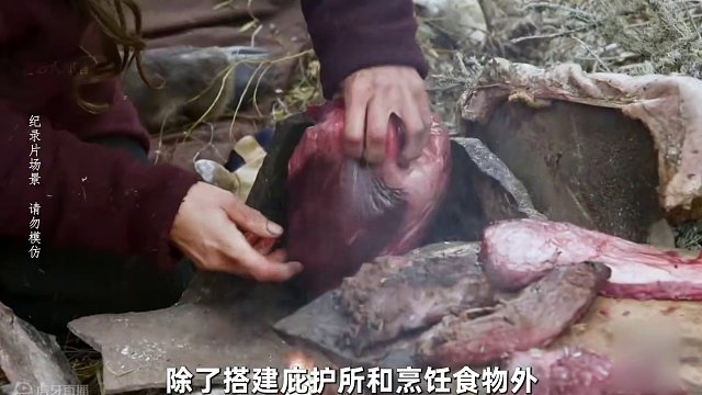 3人北极荒野求生，依靠一头700斤驼鹿生存30天，获胜者将赢得25万 #野外生存 #荒野求生 #户外