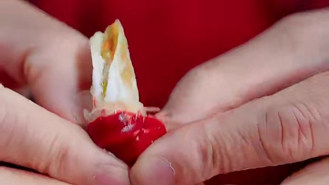 吃完在汤里下荞面，这样的捞汁小海鲜才有“成都味” #今年首顿小龙虾安排了吗 #夜市里的烟火气 #海鲜