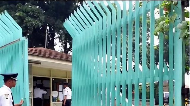 外国人有自己的潘子！！ #潘子 #维斯塔潘 #f1赛车