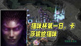 第二屆老虎杯第4日 貓咪杯22第一日5