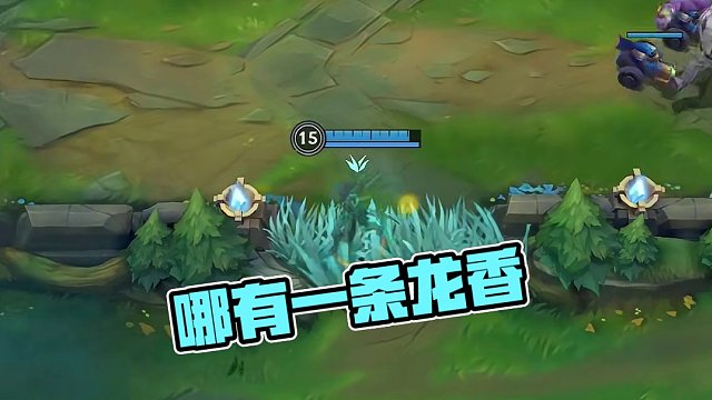 哪有一条龙香啊