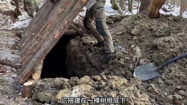 #解压 这才是真正的视频减速带！！！#沉浸式露营 #荒野 #荒野建筑 #视频减速带