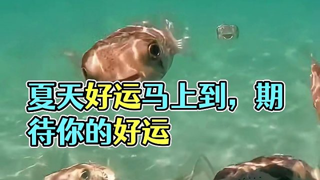 官方提示：“请保持心情舒畅，您的夏天好运即将送达，请及时查收”#期待夏天的到来 #好运会伴随你的每一