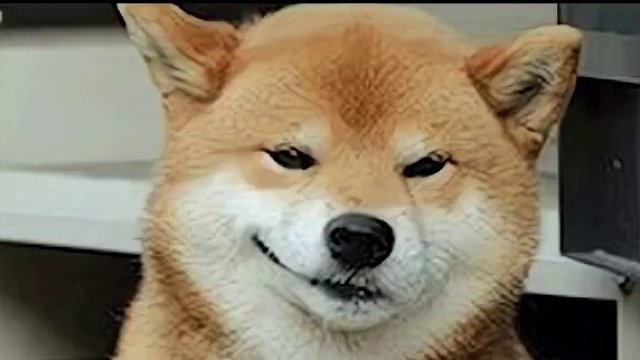 恶魔领主战力足以秒杀反僵尸小队，却因为路痴死在自己手上！