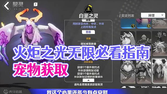 火炬之光无限，开服新手必看指南，宠物获取 #火炬之光无限 #暗黑系 #流放之路 #最后纪元