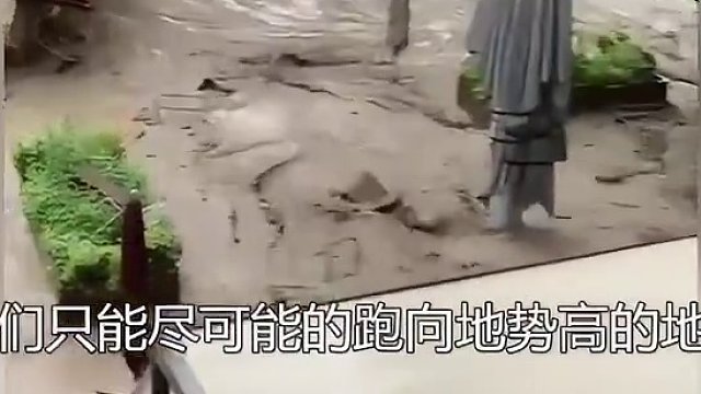 真实的洪水到底有多可怕，这些水又是从哪里来的？看完涨知识了