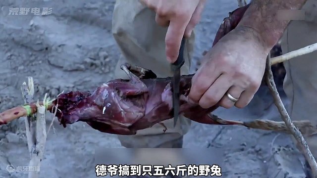 德爷来到哈萨克斯坦，逮只七斤六野兔吃烤肉，对手钓到20斤大鲶鱼   #荒野求生 #野外生存 #德爷 